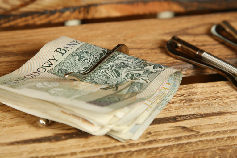 KLIPA SPINKA NA BANKNOTY   (3)